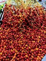 Dates at the market still attached to the stem. Credit: Tone Delin Indrelid