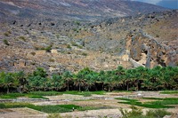 Abandoned village and farmed terraces in Wadi Ghul, at the foot of Jebel Shams